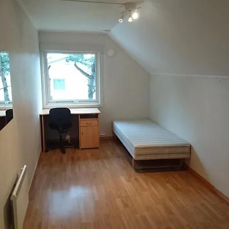 Attic With 3 Bedrooms